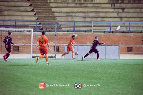 DSC 7266-DeNoiseAI-clear-Lightroom web