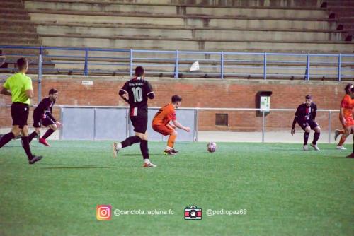 DSC 7267-DeNoiseAI-clear-Lightroom web