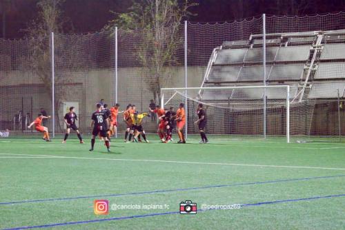 DSC 7288-DeNoiseAI-clear-Lightroom web