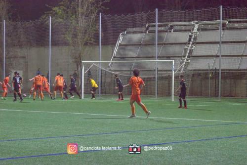 DSC 7291-DeNoiseAI-clear-Lightroom web