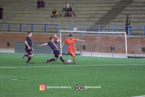 DSC 7372-DeNoiseAI-clear-Lightroom web