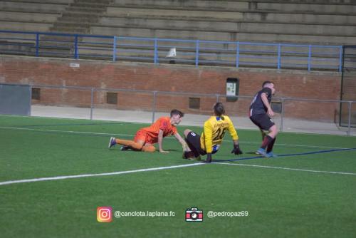 DSC 7374-DeNoiseAI-clear-Lightroom web