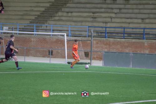 DSC 7381-DeNoiseAI-clear-Lightroom web