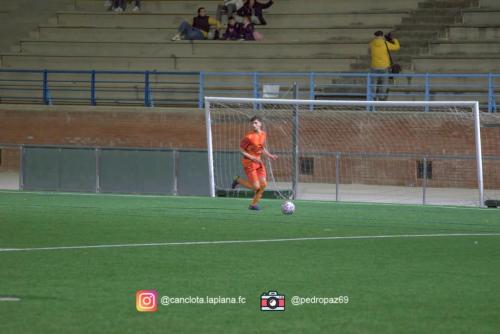 DSC 7386-DeNoiseAI-clear-Lightroom web