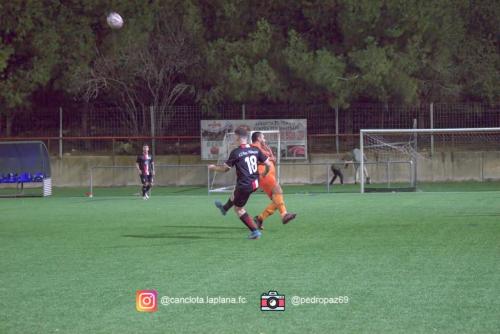 DSC 7432-DeNoiseAI-clear-Lightroom web