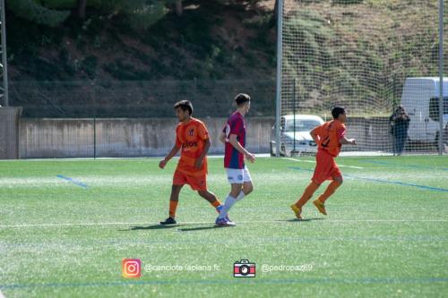 DSC 7538-Lightroom-Web