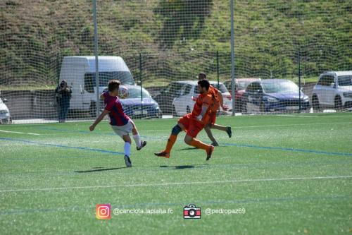 DSC 7544-Lightroom-Web